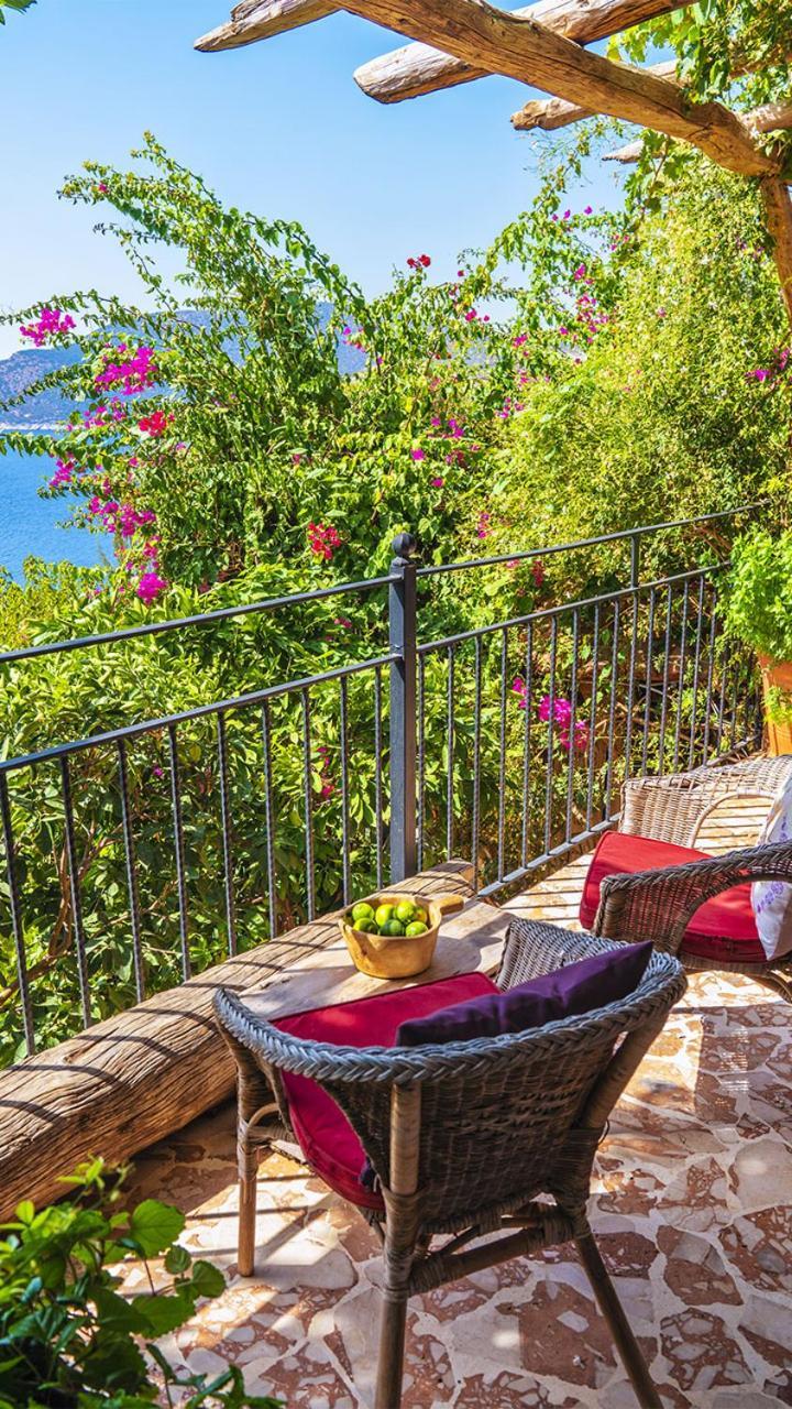 Fidanka Hotel Kalkan Exteriör bild